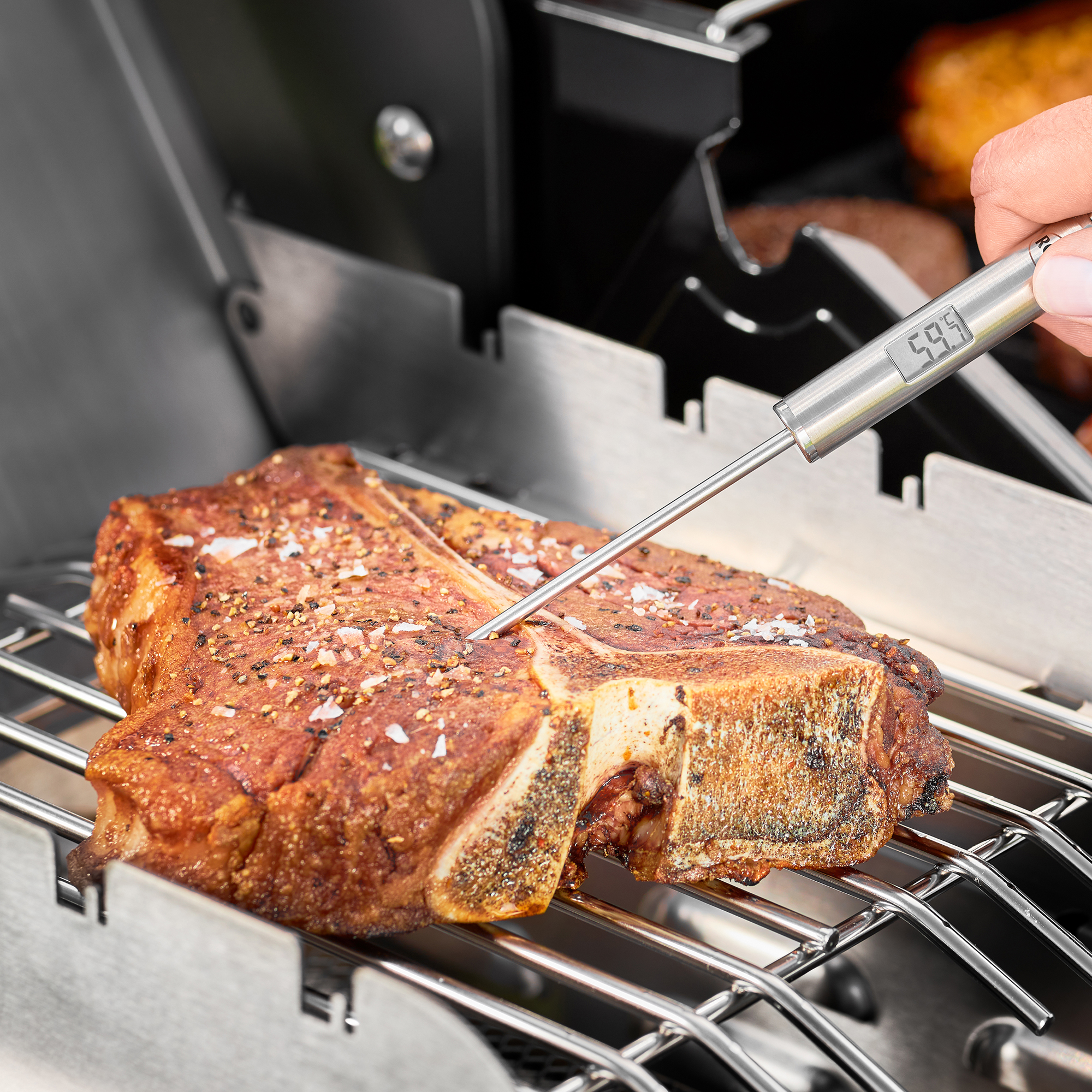 Gourmet-Thermometer 