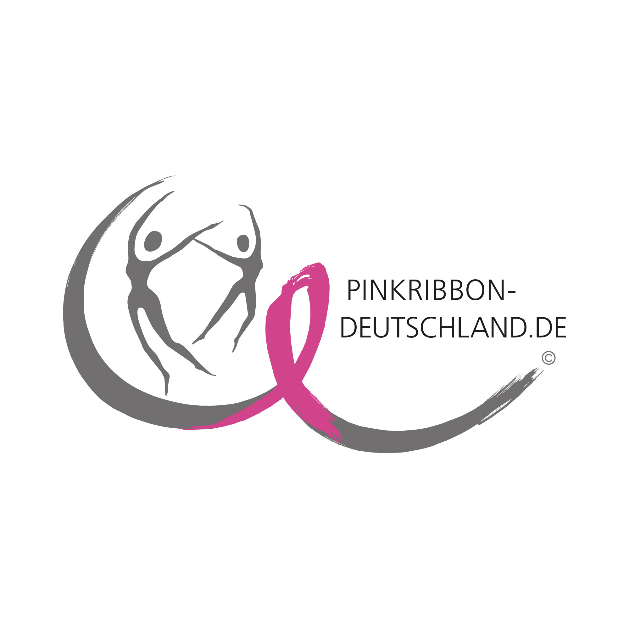Schneebesen Silikon pink 27 cm